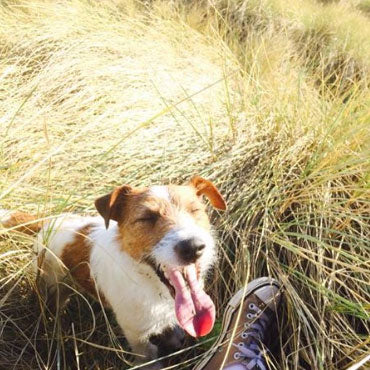 Puppy-Love-Queenstown-Raw-Food-For-Dogs-Testimonials-Wilson