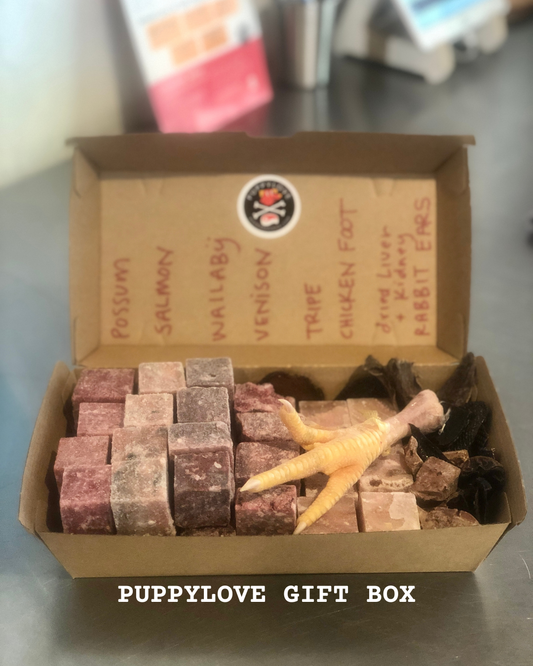 PUPPYLOVE GIFT BOX