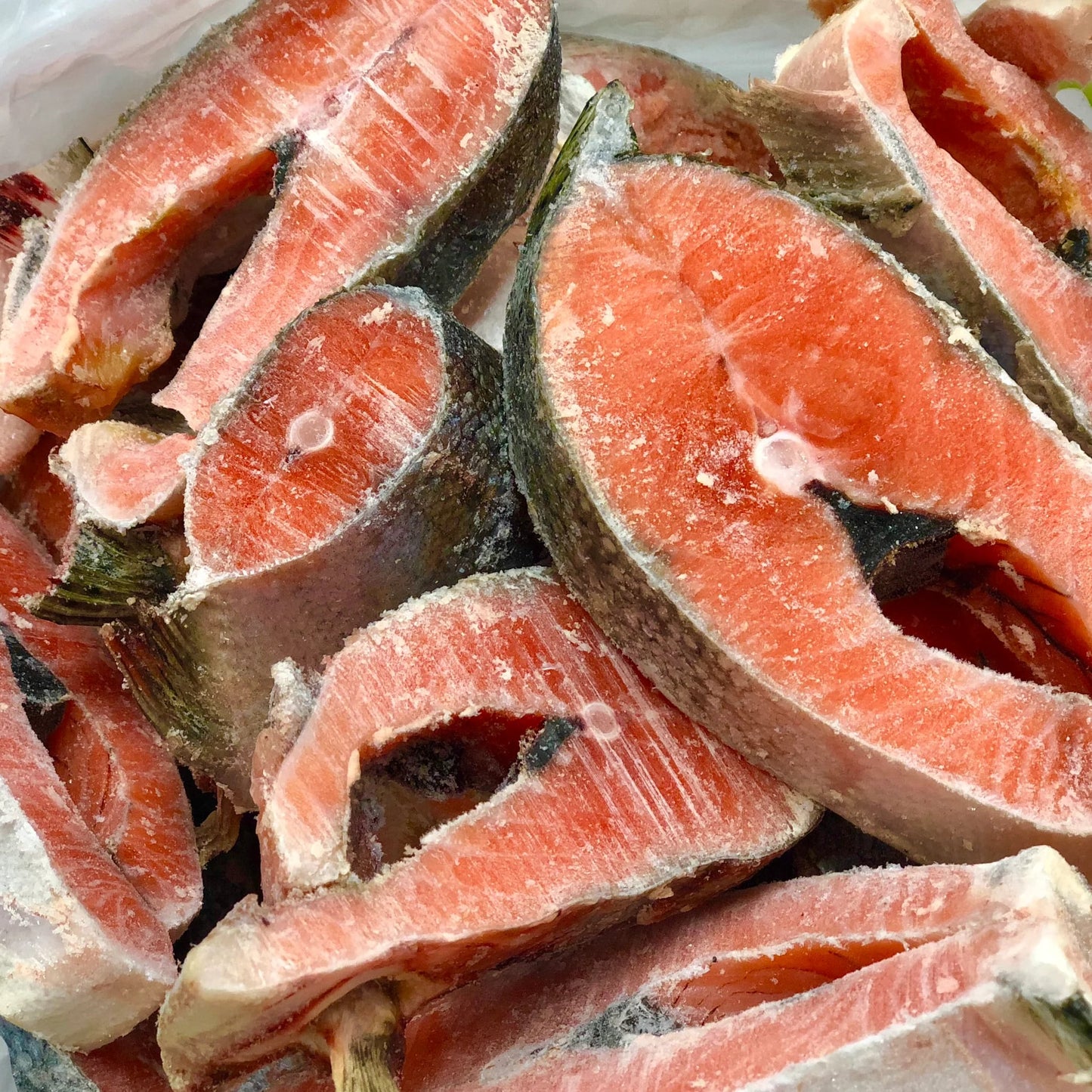 Packs - SALMON STEAK - Frozen Slices