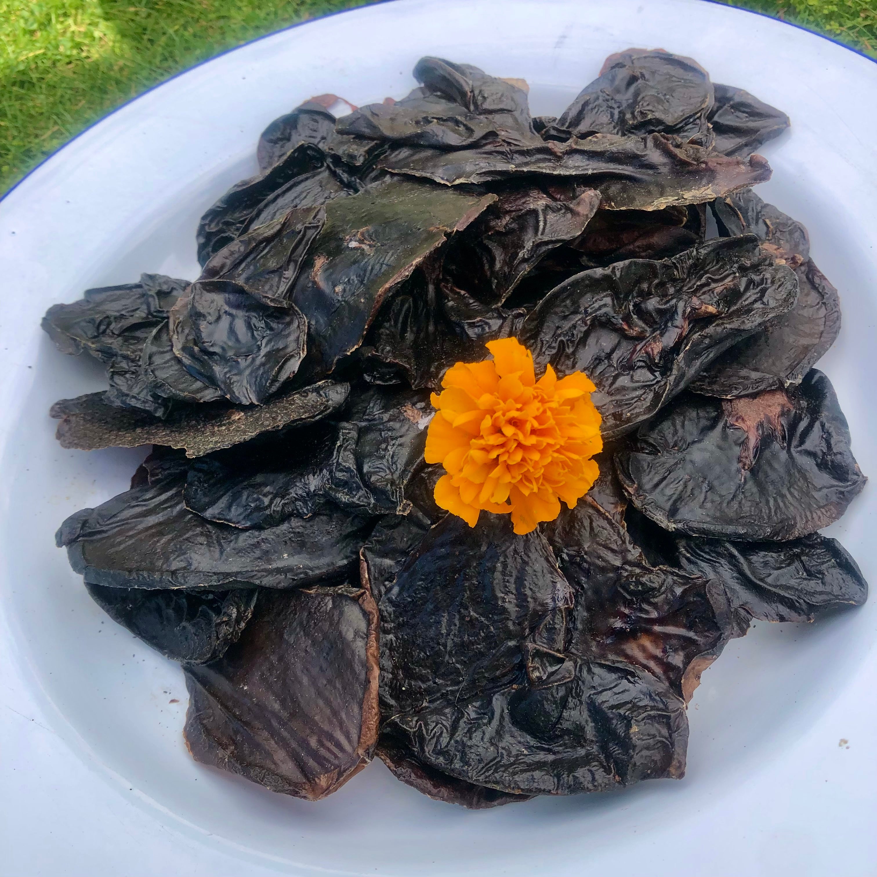 WILD VENISON KIDNEY SLICES airdried PuppyLove NZ