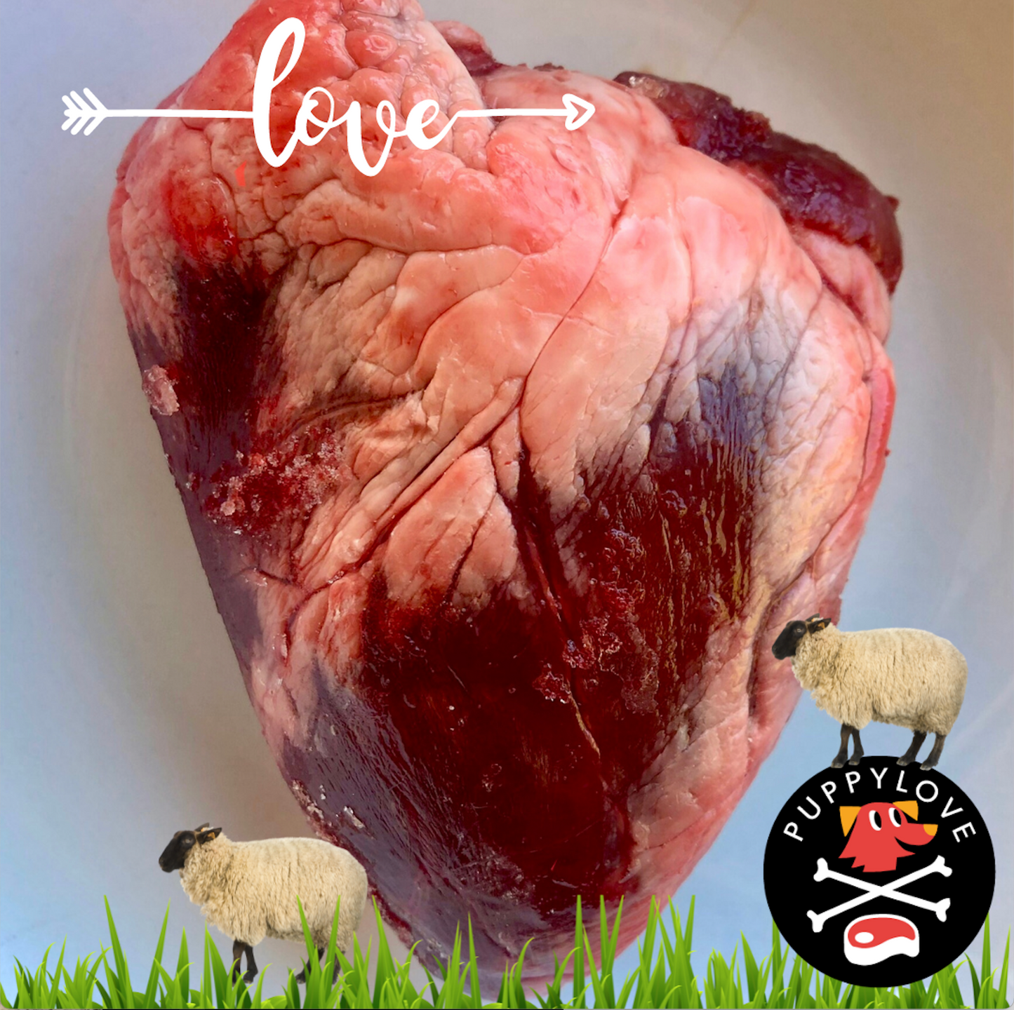 Packs - LAMB HEART - Royalburn whole frozen