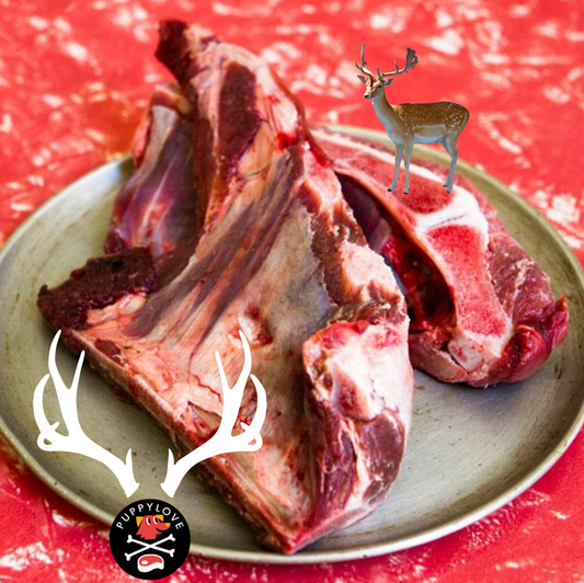 WILD VENISON BRISKET