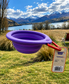 🐾GO BOWL — COLLAPSIBLE DOG BOWL