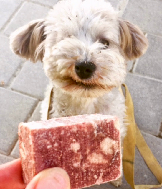 Puppy-Love-Queenstown-Raw-Food-For-Dogs-Lulu