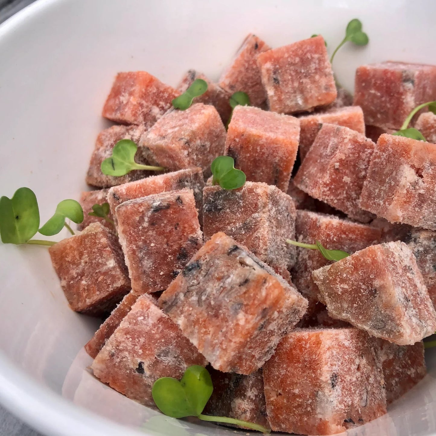 Packs - SALMON BITES