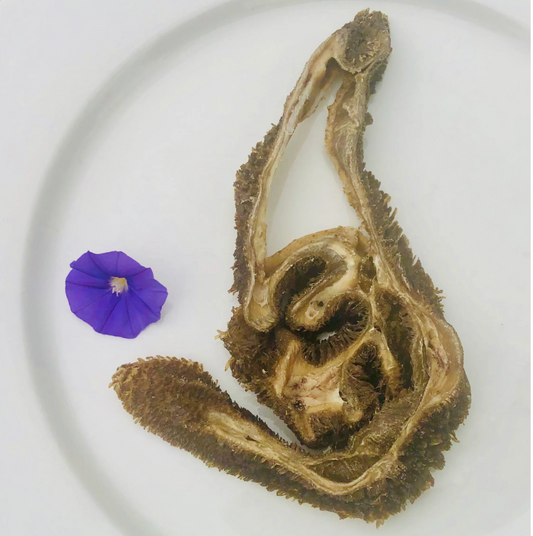 VENISON TRIPE - air-dried