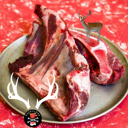 WILD VENISON BRISKET